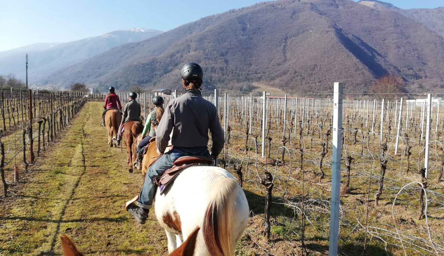 Horse riding in the panoramic Prealps.